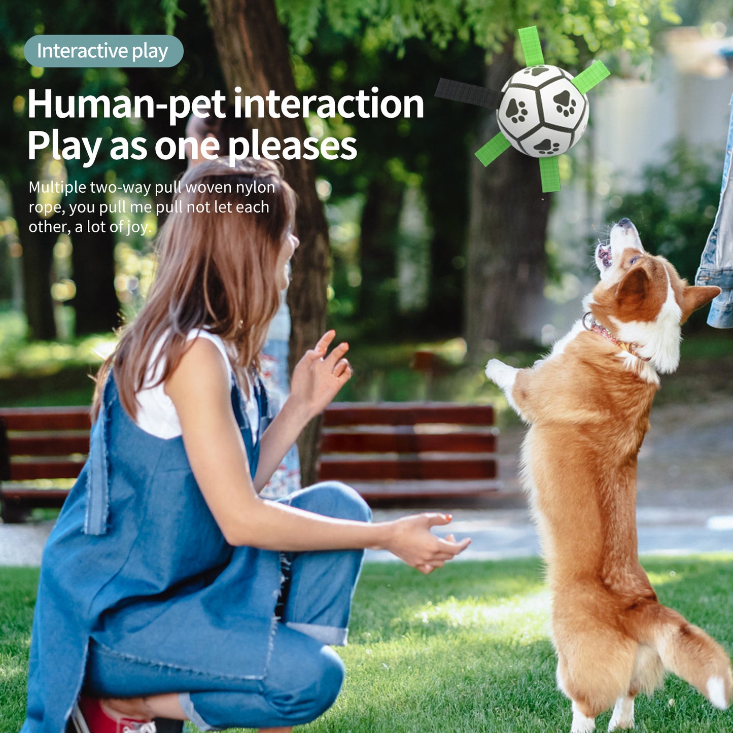 Pawline™ Dog Football Toy – Interactive & Durable