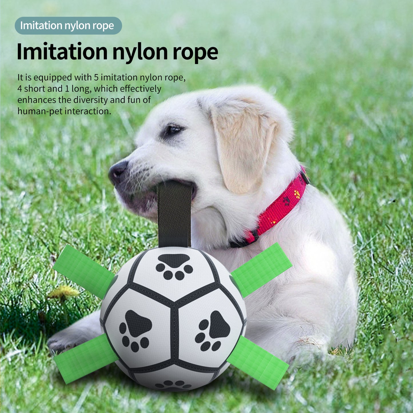 Pawline™ Dog Football Toy – Interactive & Durable